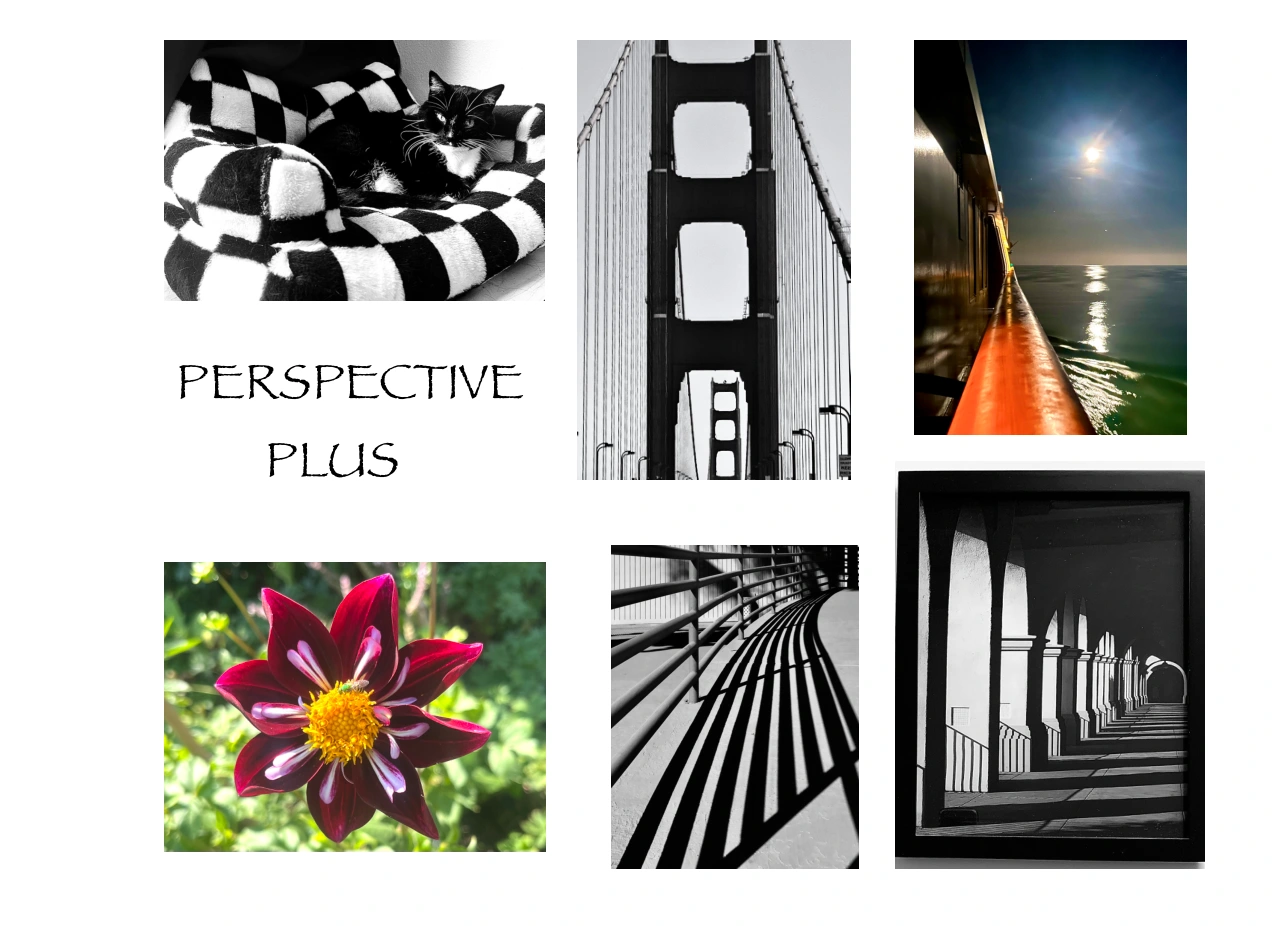 Perspective Plus — architecture and nature photographs